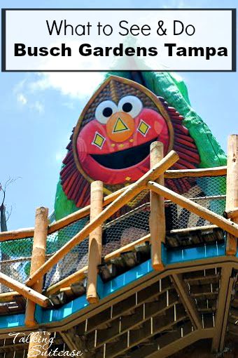 What To See Do At Busch Gardens Tampa