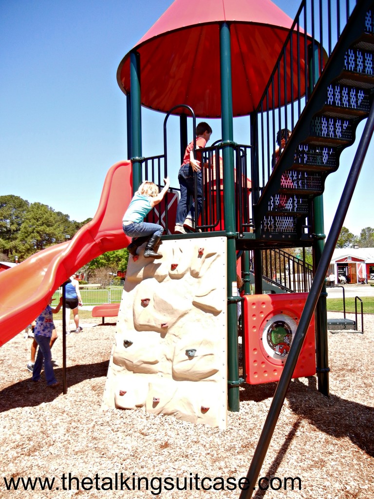 Blue Bird Gap Farm Playground