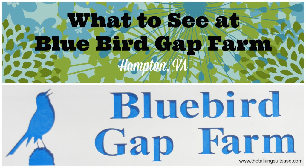 Bluebird Gap Farm