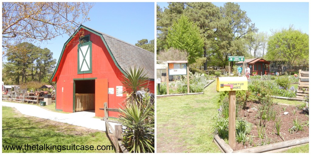 Bluebird Gap Farm Collage