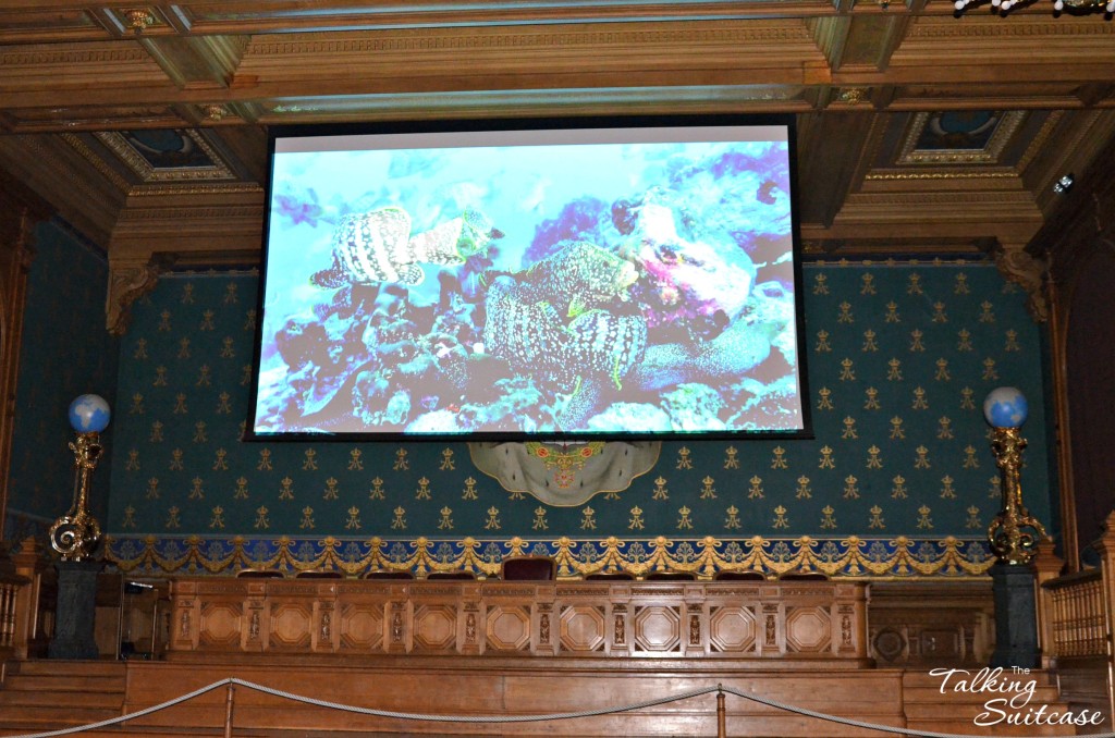Aquarium Monaco Presentation