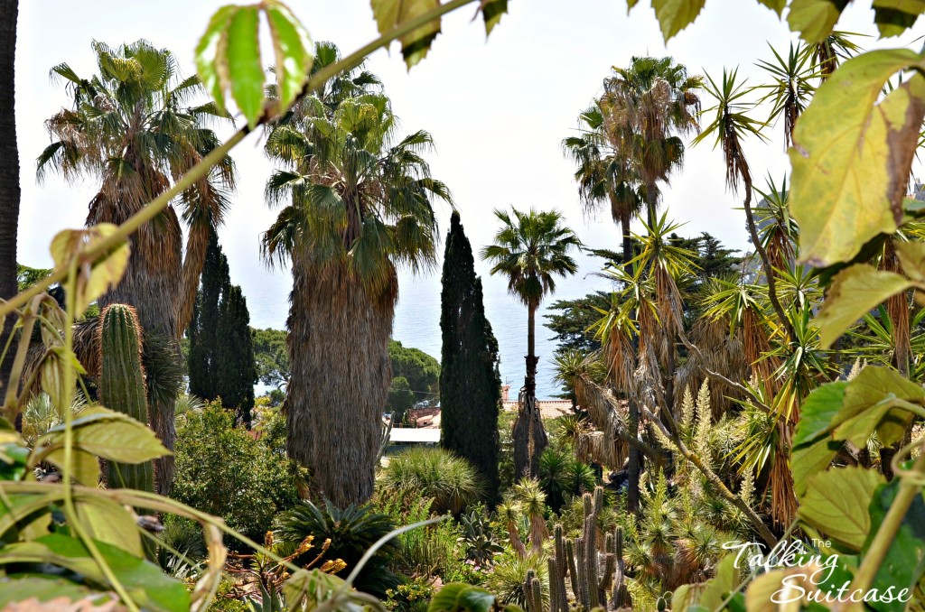 Marimurtra Botanical Garden 1