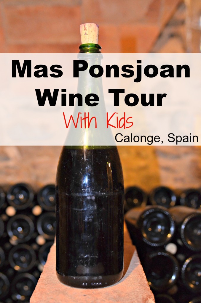 Mas Ponsjoan Wine Tour wine tour with kids in Calonge, Spain