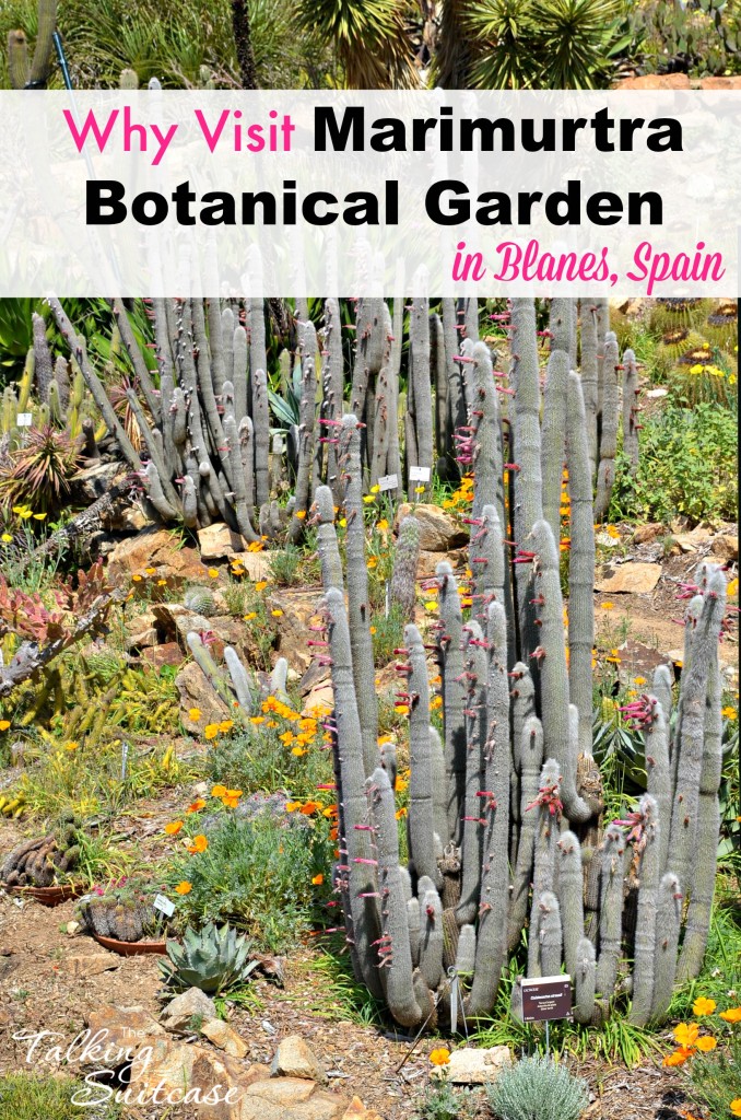 Visit Marimurtra Botanical Garden in Blanes