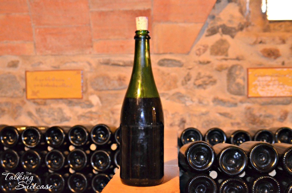 Wine bottles in cellar at Mas Ponsjoan Winery