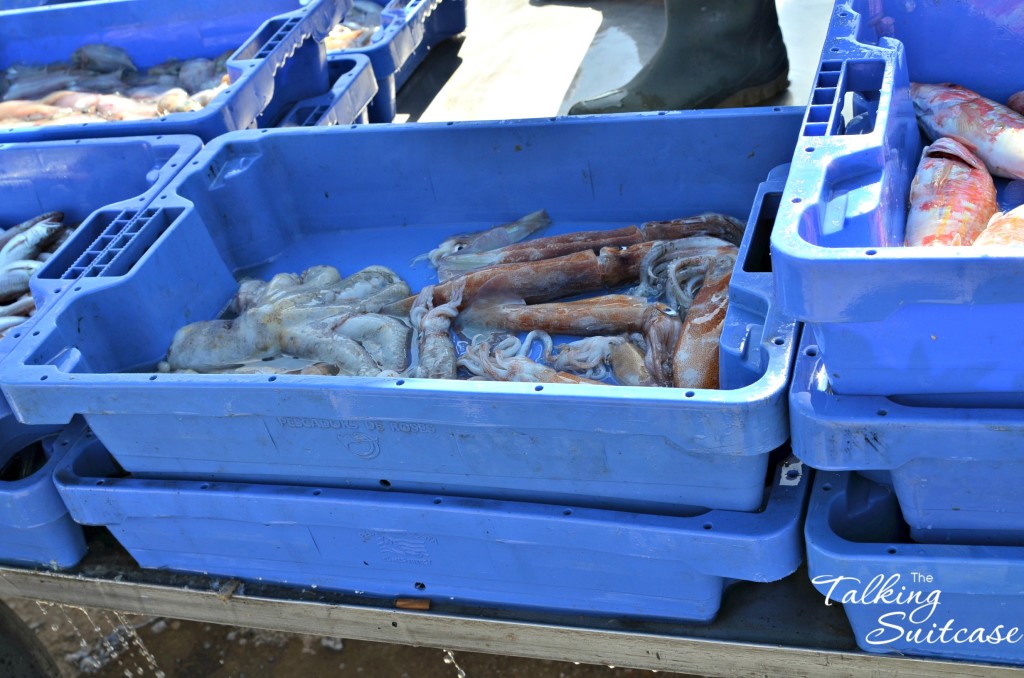 Fish Auction in Roses Spain