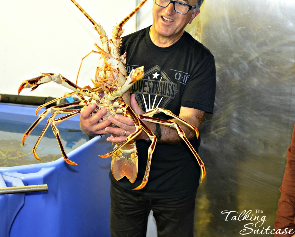 Lobster at the Fish Auction in Roses Spain