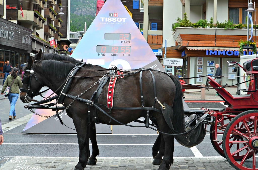 Explore Zermatt in a horse drawn carriage.  Can you see the countdown until the 150 year anniversary of the first ascent behind the horses?