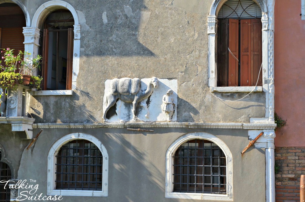 A camel in Venice? There's a romance story here to just waiting to be shared