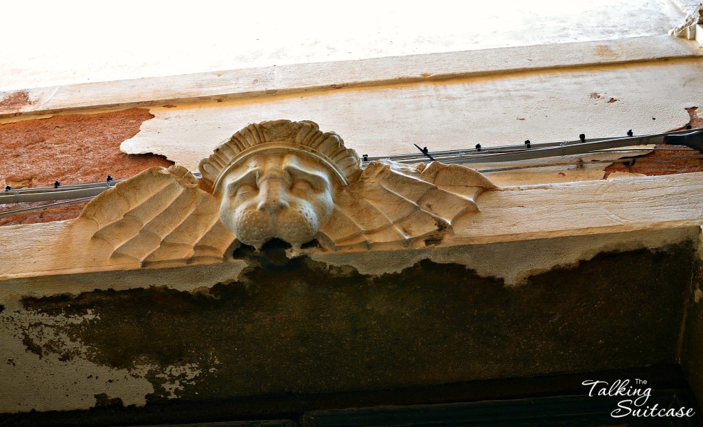 Vampire Lion hiding out on the streets of Venice