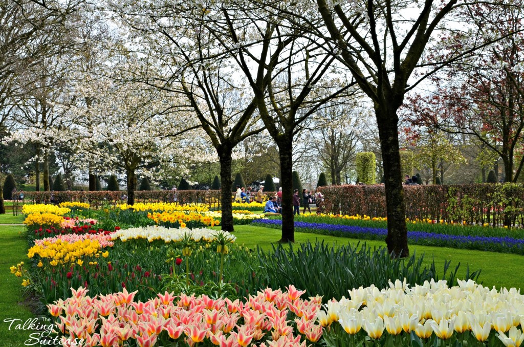 Keukenhof Garden