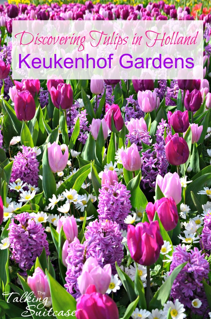 Keukenhof Gardens