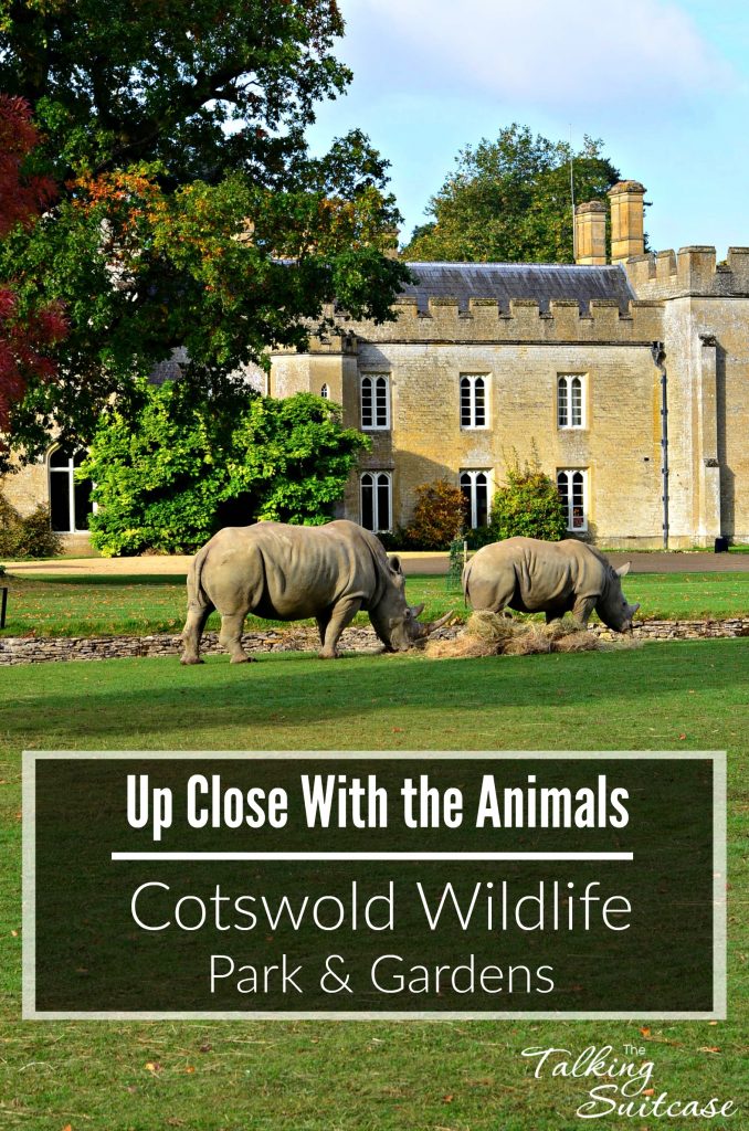 cotswolds-zoo